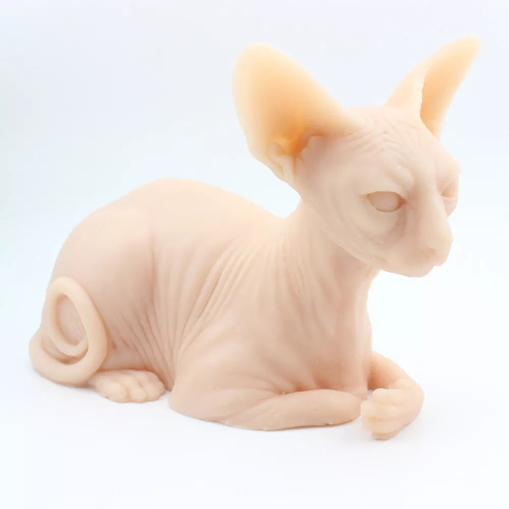 Practice Skin - Sphynx Cat